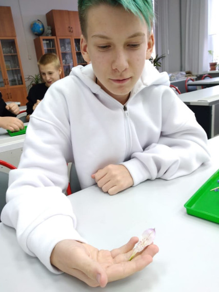 "Химия и жизнь".