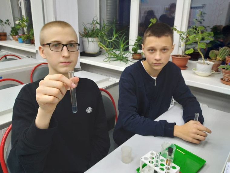"Химия и жизнь".