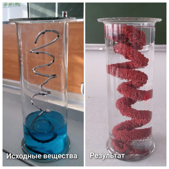 "Химия и жизнь".