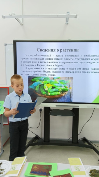 "Точка роста".